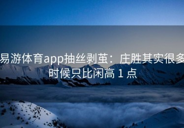 易游体育app抽丝剥茧：庄胜其实很多时候只比闲高 1 点