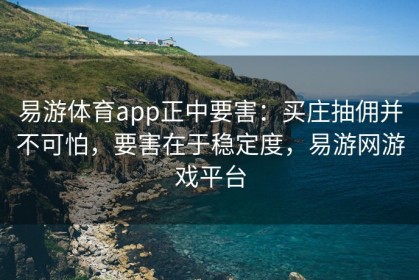 易游体育app正中要害：买庄抽佣并不可怕，要害在于稳定度，易游网游戏平台